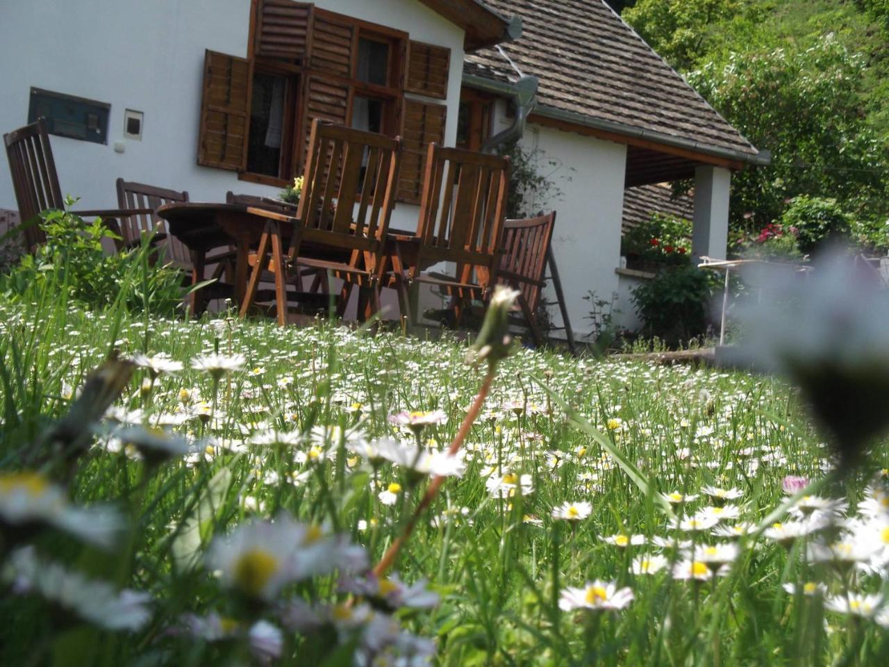 Tulipános Vendégház Obanya Exterior foto